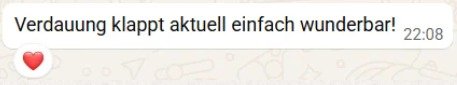 Screenshot einer kurzen Kundinnenrückmeldung zur Verdauung.